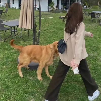 莉莉与凯特